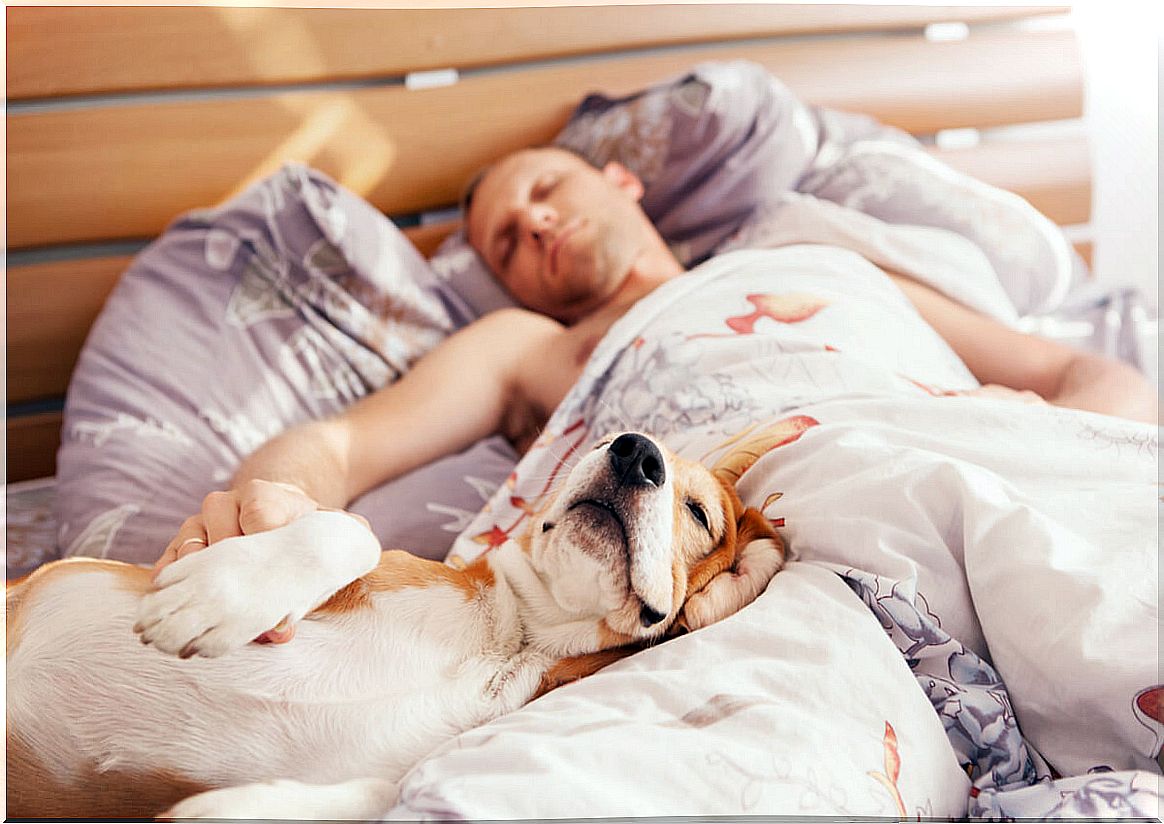 A person sleeping with his dog.