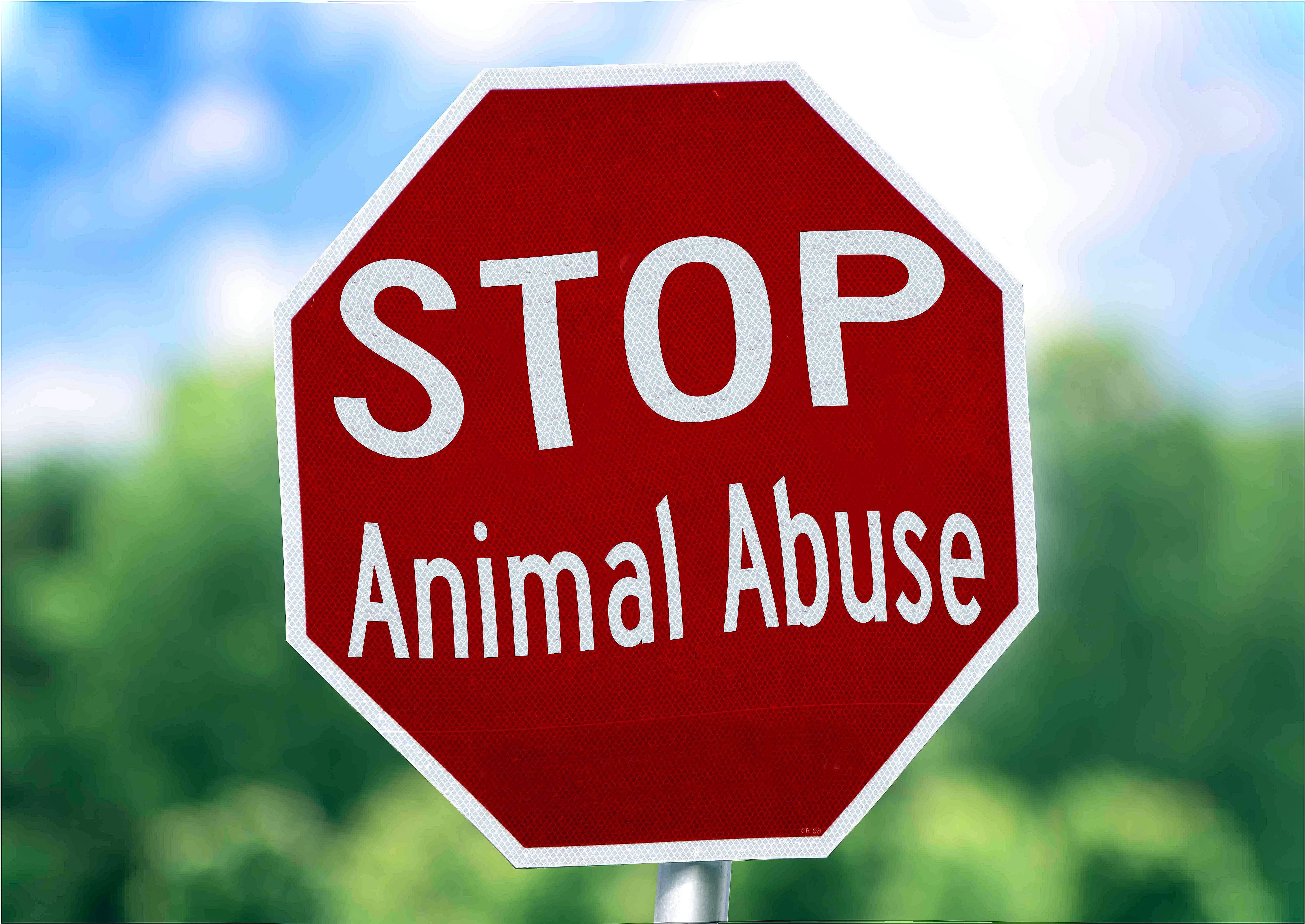 stop-animal-abuse