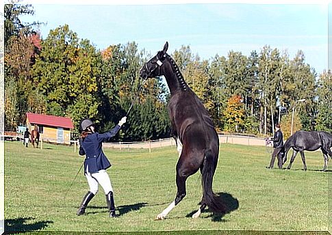 Woman with her horse.