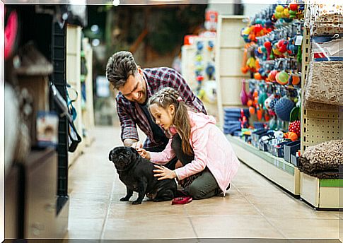 Go shopping with the dog