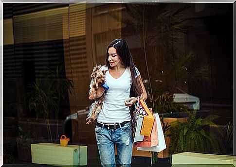 Go shopping with your pet