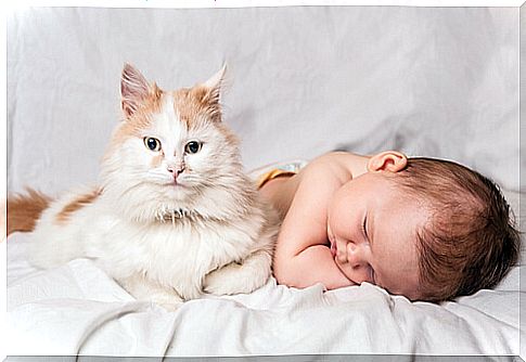 Children with pets are more responsible and sensitive