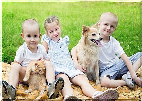 children with cat and dog