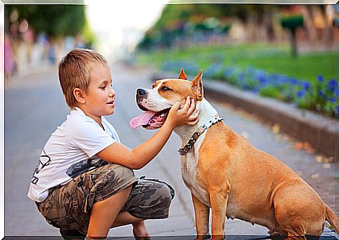 dog and child