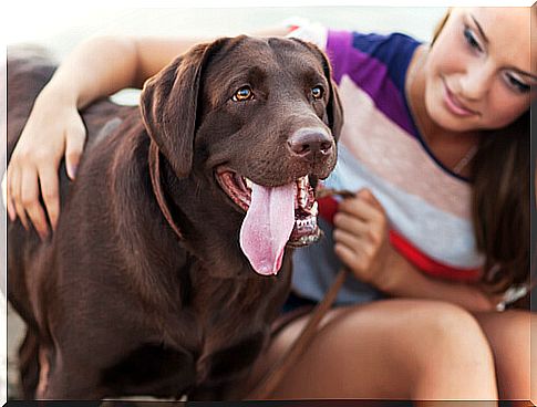 dog woman gender violence