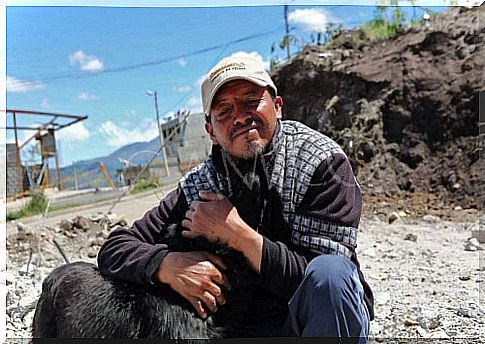 perro se niega a abandonar su casa despues de un terremoto 2