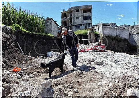 perro se niega a abandonar su casa despues de un terremoto 3