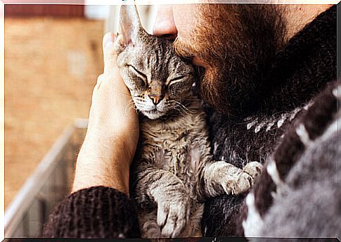 Cat lets himself be hugged