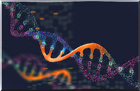 Genetics and animal populations