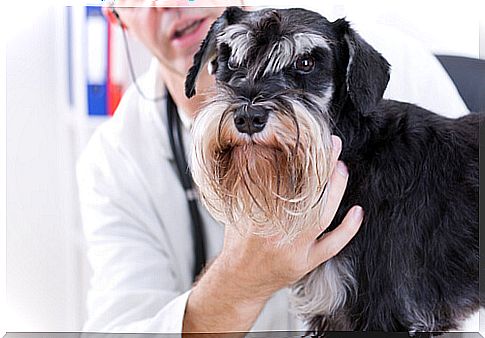 Mobile veterinary unit