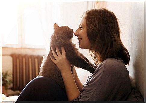 How to earn a cat's trust: tips and steps to follow