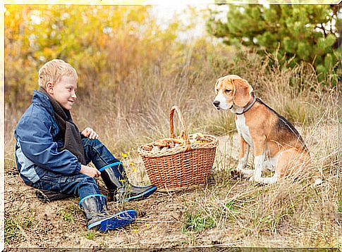 A boy with a dog catching mushrooms.