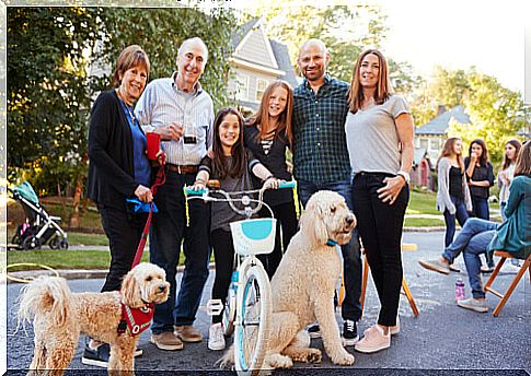 Neighborhood relationships between animal owners