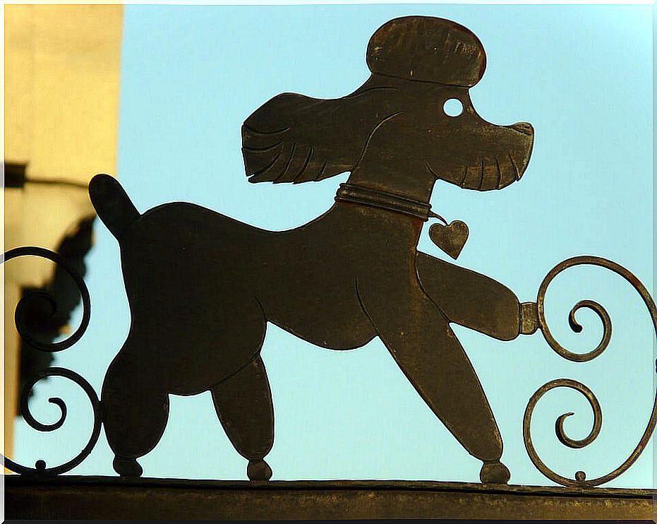 Poodle silhouette in metal