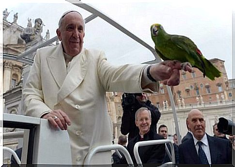 Pope Francis and the animals