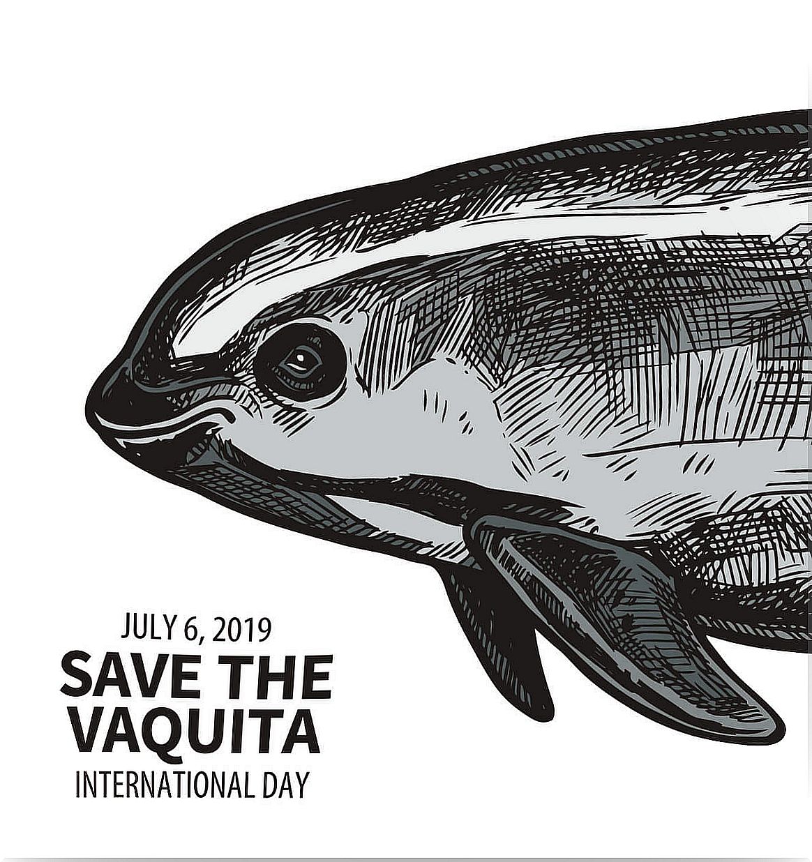 Save the vaquita porpoise.