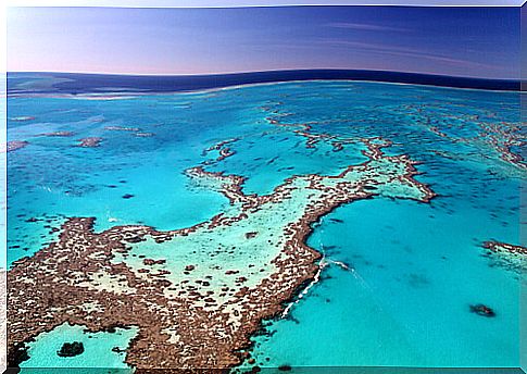 Great Barrier Reef of Australia