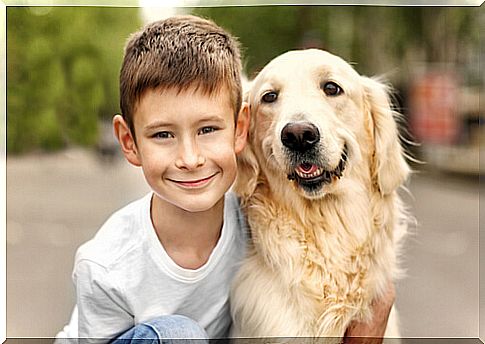 The most suitable dog breeds for children