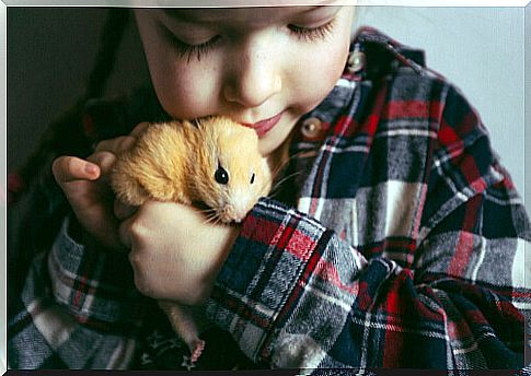 Hamster with a child