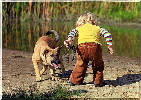 What to do if your child is afraid of dogs