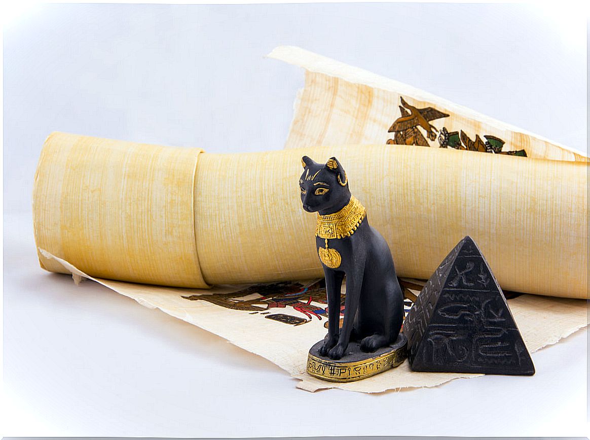 A cat and an Egyptian papyrus.