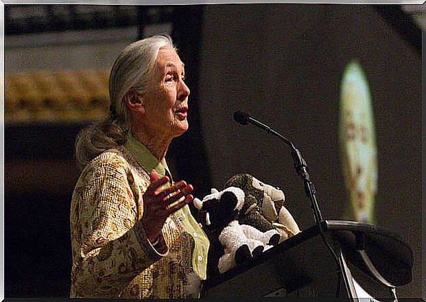 Who is Jane Goodall?