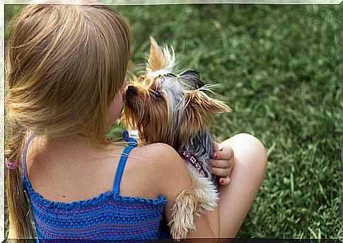 Why don't my son and the dog get along?